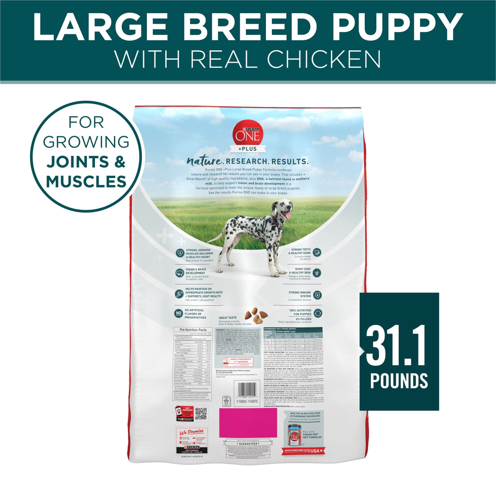 Purina One Plus Puppy Dry Dog Food for Large Dogs High Protein Growth Support - Real Chicken, 31.1 lb Bag