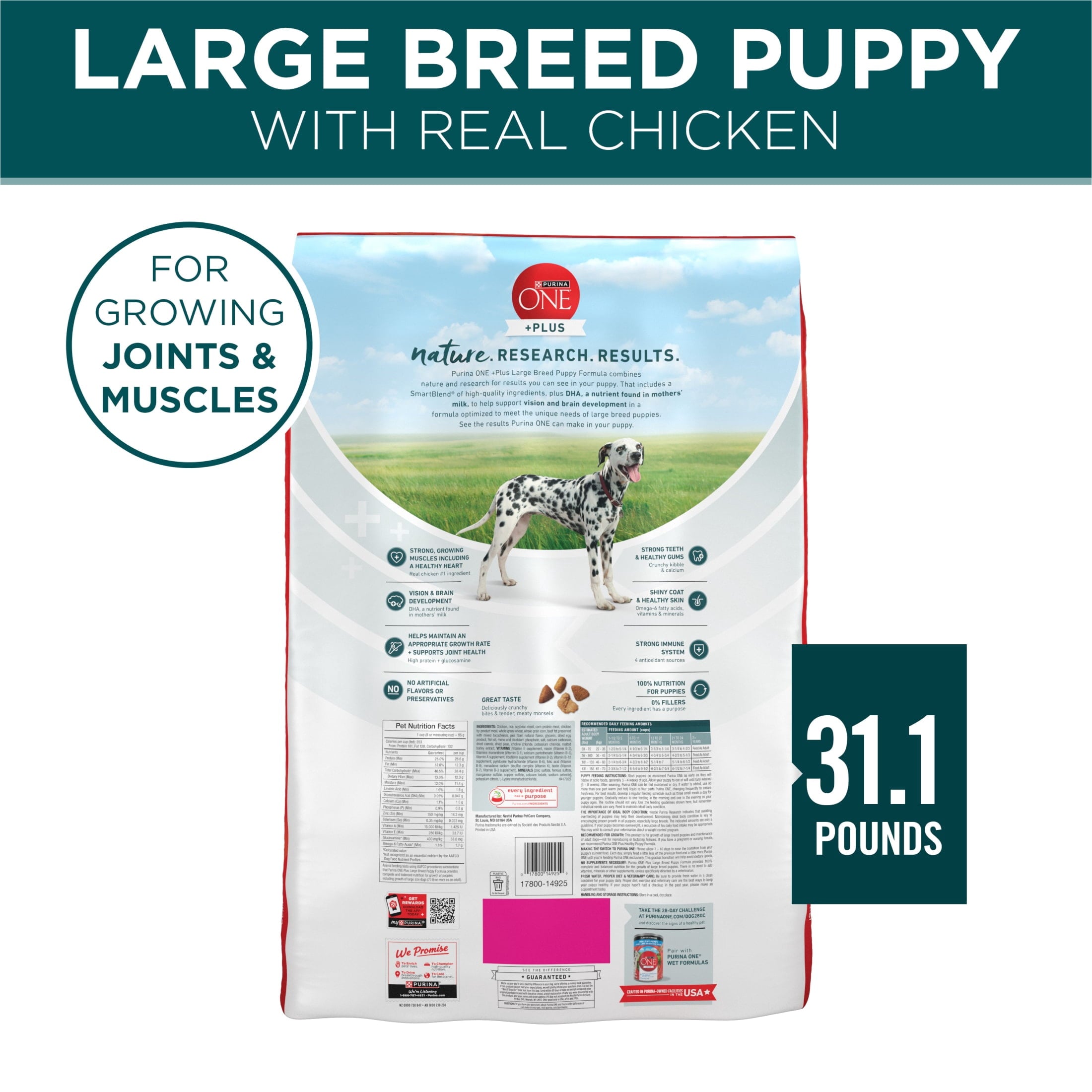 Purina One Plus Puppy Dry Dog Food for Large Dogs High Protein Growth Support - Real Chicken, 31.1 lb Bag