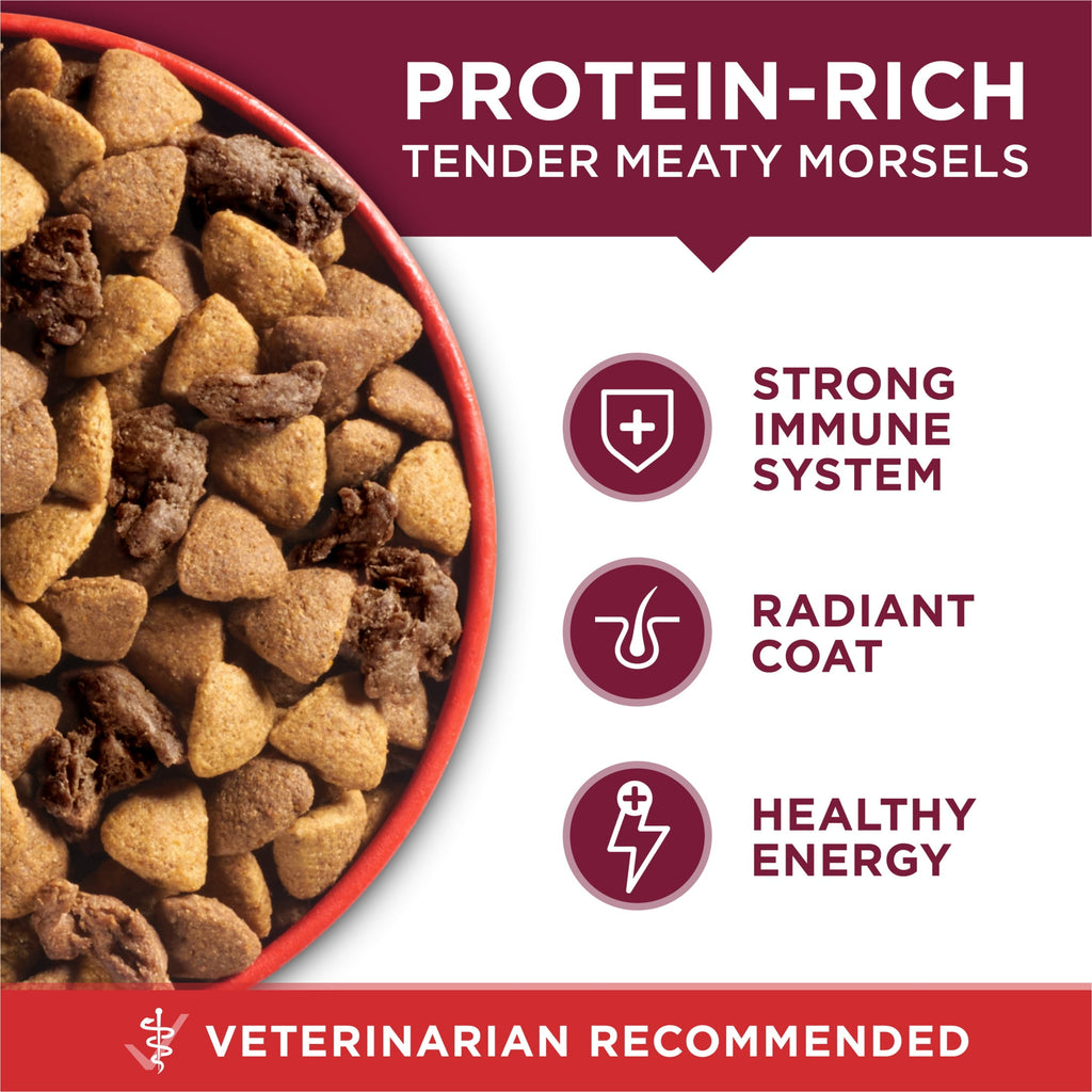 Purina ONE Small Bites Beef & Rice Flavor Dry Dog Food - 4 lb Bag