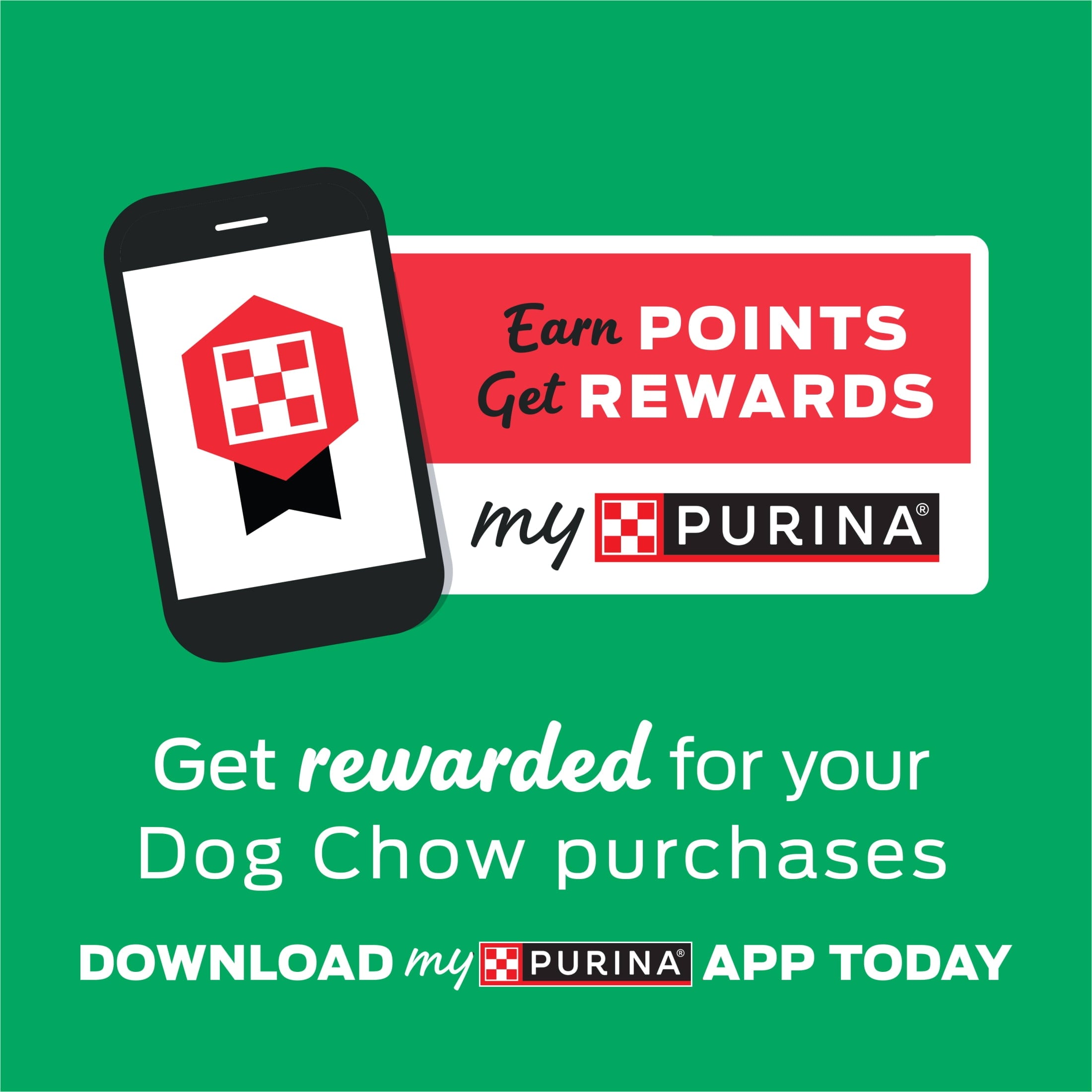 Purina Dog Chow Complete Adult Dry Dog Food for Adult Dogs - Kibble Beef Flavor, 3.5 lb.