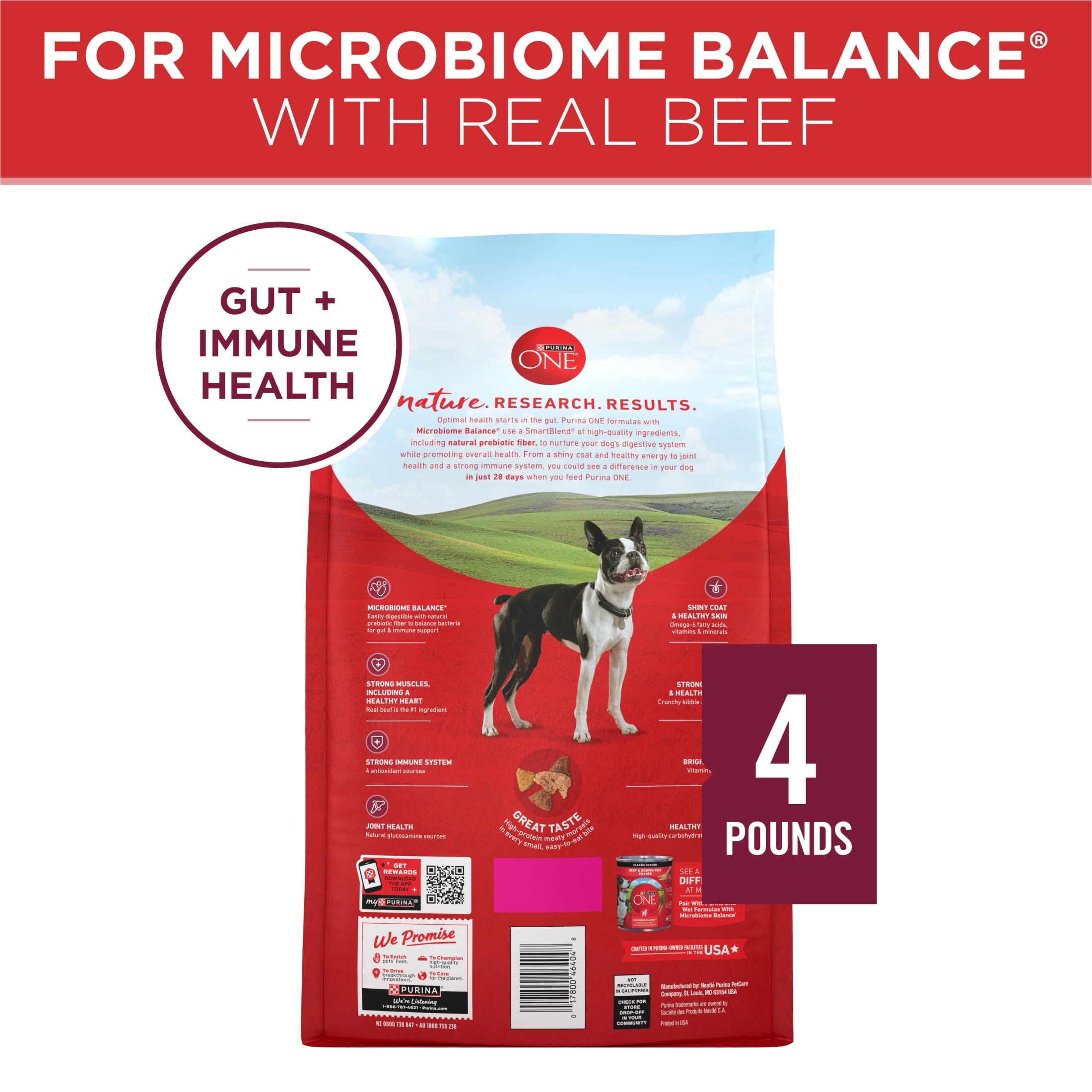Purina ONE Small Bites Beef & Rice Flavor Dry Dog Food - 4 lb Bag
