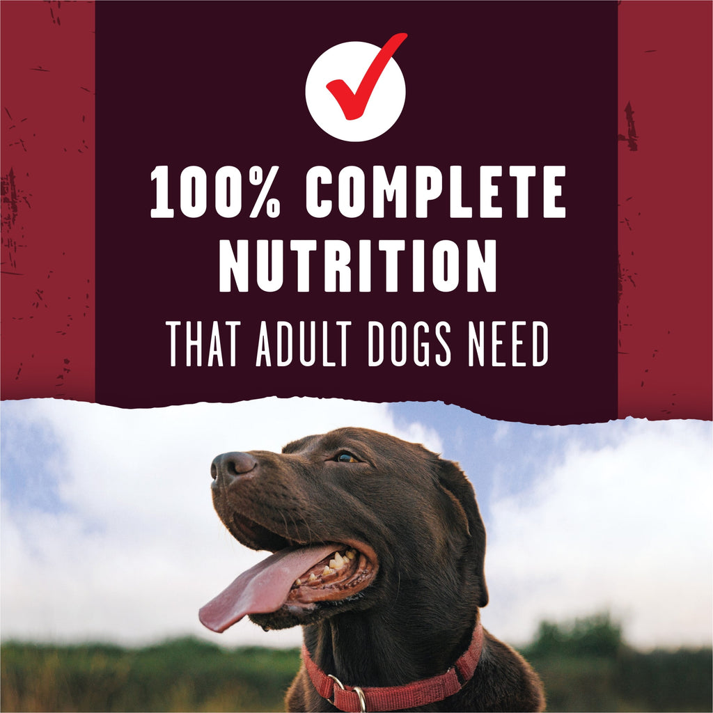 Purina ALPO Prime Cuts Savory Beef Flavor Dry Dog Food - 45 lb Bag