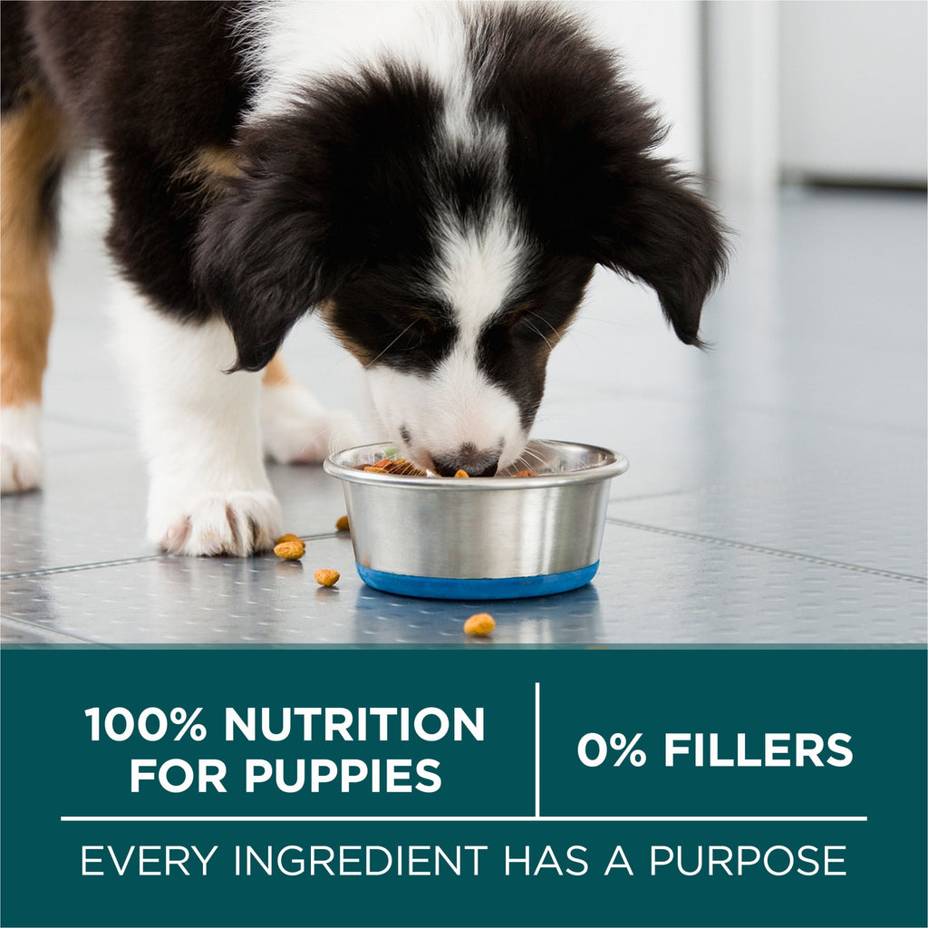 Purina One Plus Puppy Dry Dog Food for Large Dogs High Protein Growth Support - Real Chicken, 40 lb Bag