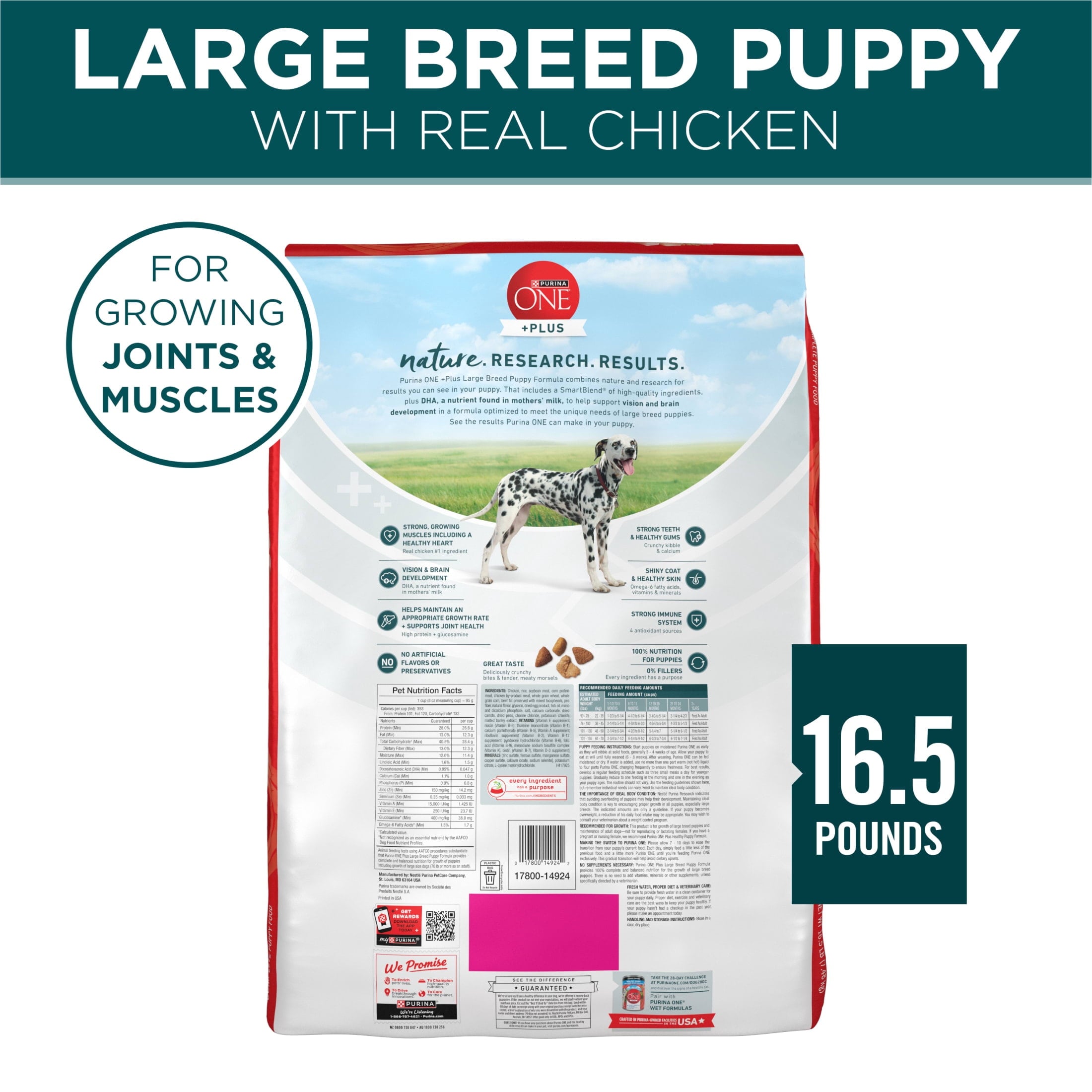 Purina One Plus Puppy Dry Dog Food for Large Dogs High Protein Growth Support - Real Chicken, 16.5 lb Bag