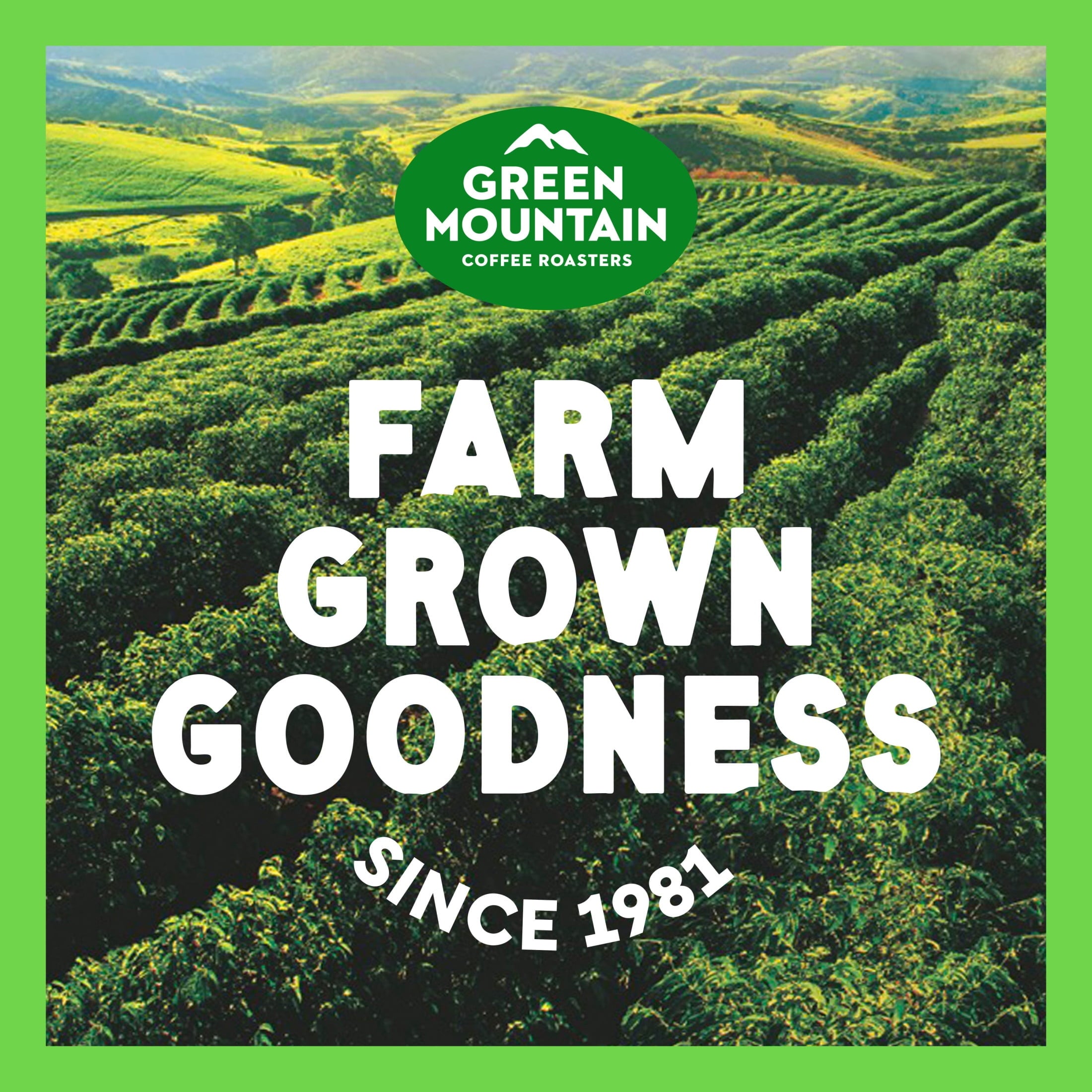 Green Mountain Coffee Hazelnut Flavored K-Cup Pods - Light Roast, 24 Count for Keurig Brewers