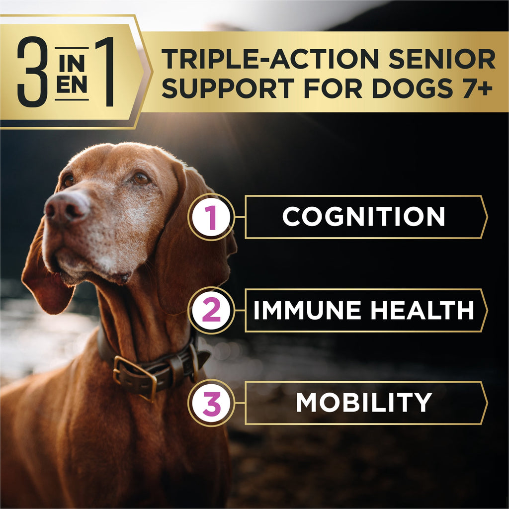 Purina Pro Plan AdvantEDGE Small Breed Senior Support Plus Chicken and Rice Formula Shredded Blend Dry Dog Food for Senior Dogs - 3.5 lb Bag