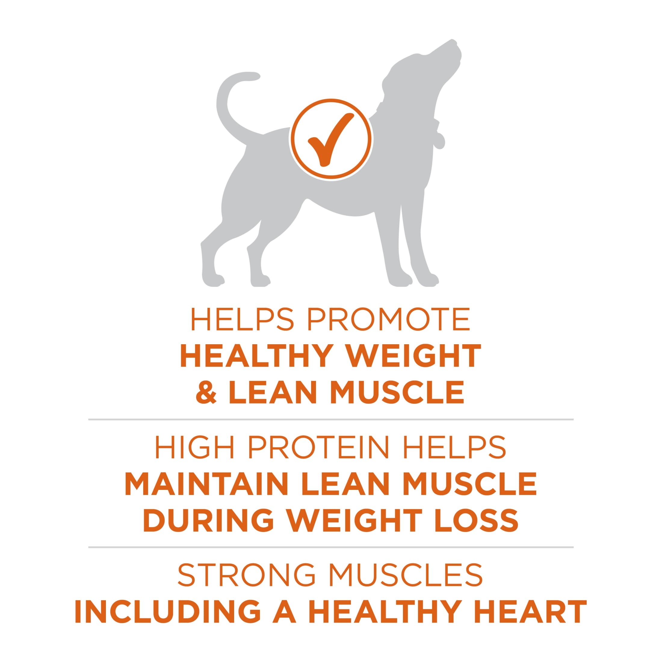 Purina One +Plus Dry Dog Food High Protein Healthy Weight - Real Turkey 40 lb Bag