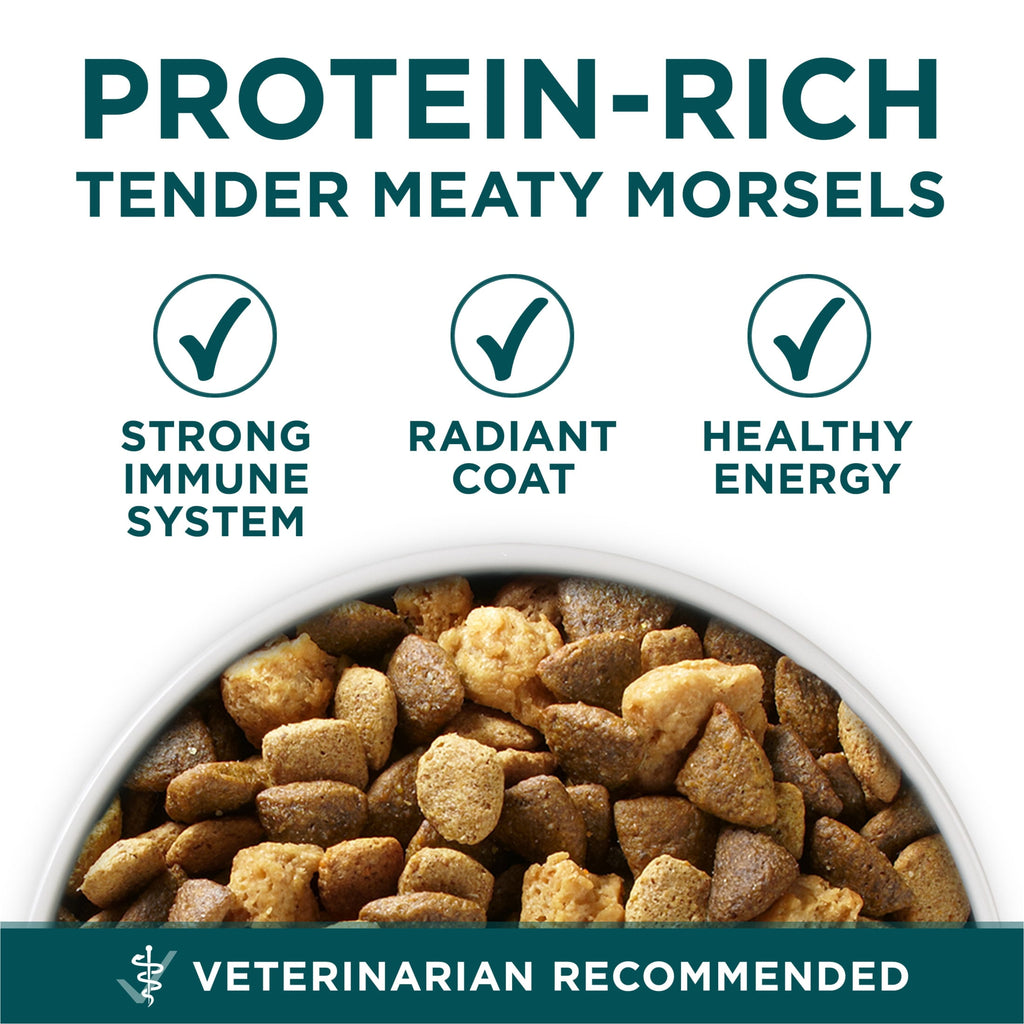 Purina One Plus Puppy Dry Dog Food for Large Dogs High Protein Growth Support - Real Chicken, 40 lb Bag
