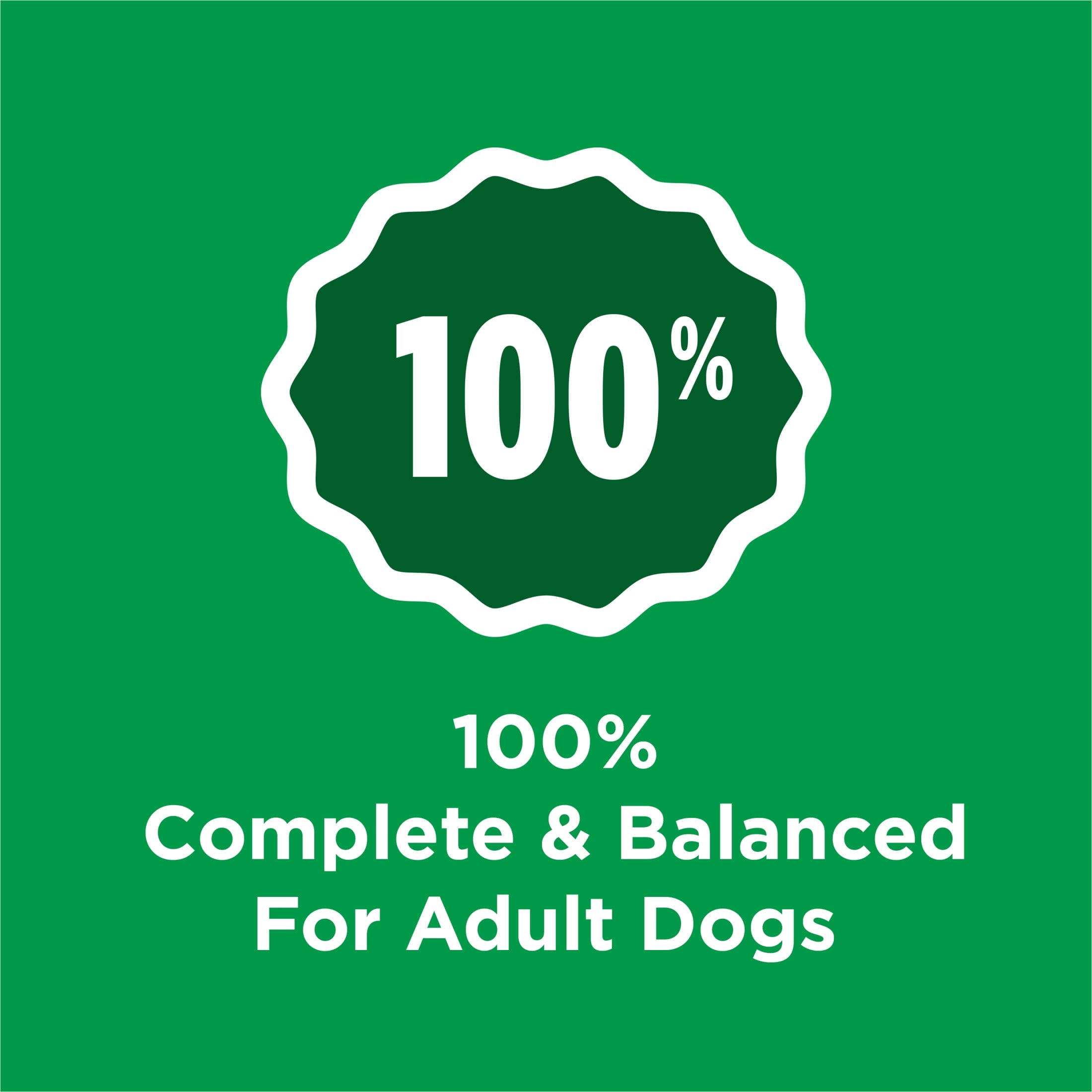 Purina Dog Chow Chicken Flavor Dry Dog Food Complete Adult - 3.5 lb.