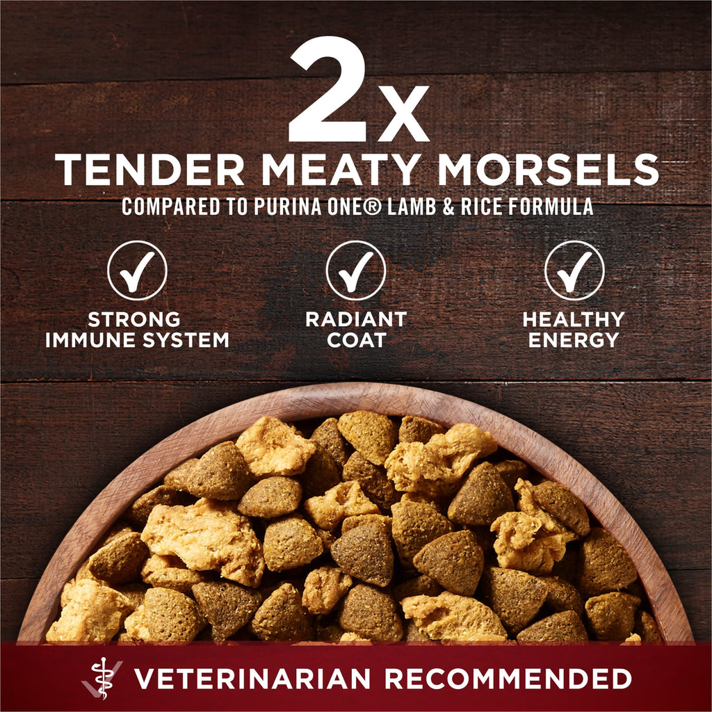 Purina ONE True Instinct With Real Salmon and Tuna Natural With Added Vitamins - Minerals and Nutrients High Protein Dog Food Dry Formula, 3.8 lb.
