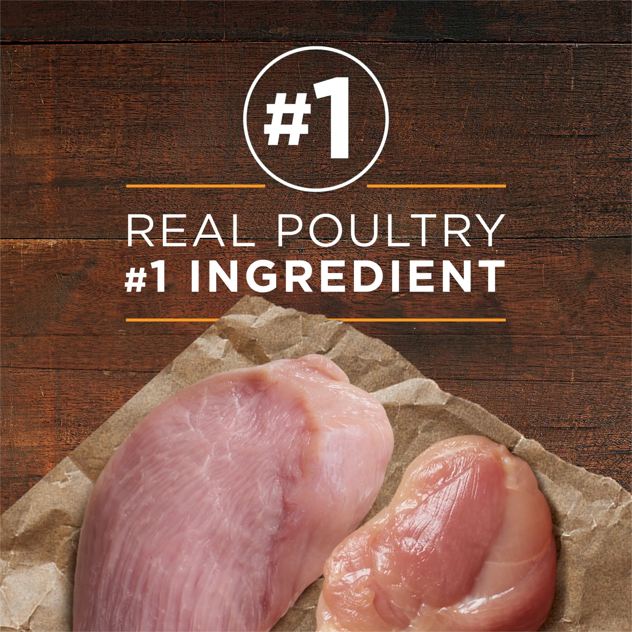 Purina ONE True Instinct Classic Ground Grain-Free Formulas With Real Turkey and Venison - and With Real Chicken and Duck Wet High Protein Dog Food Variety Pack
