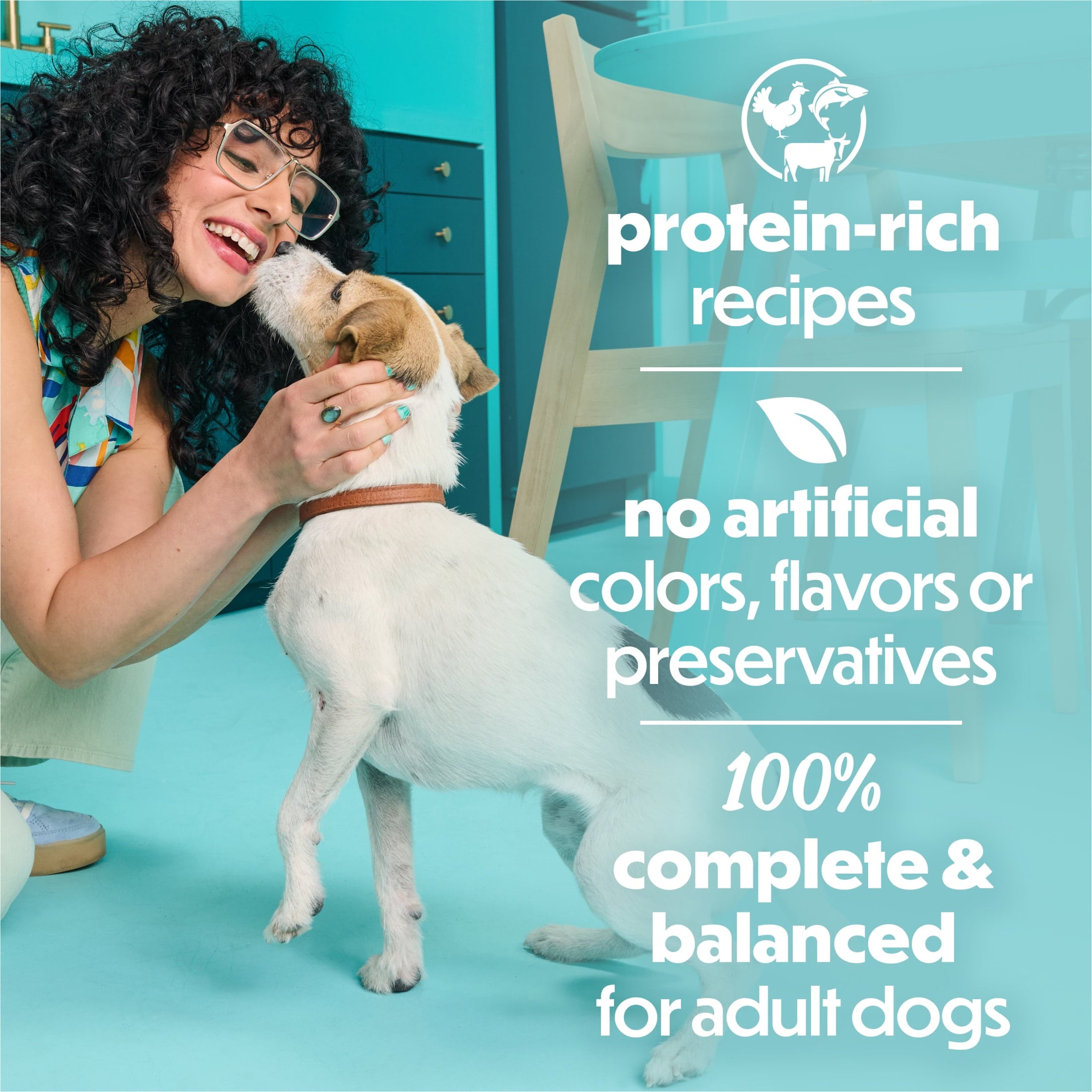 Purina Beneful Small Breed Wet Dog Food Variety Pack - IncrediBites With Real Beef, Chicken and Salmon, 3 oz.