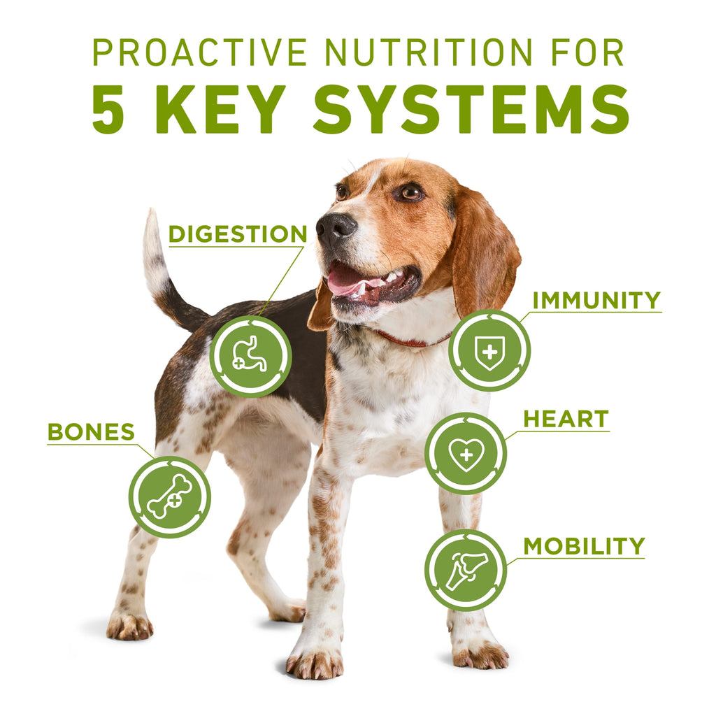 Purina ONE Plus Whole Body Support With Chicken Dry Dog Food - 16.5 lb.