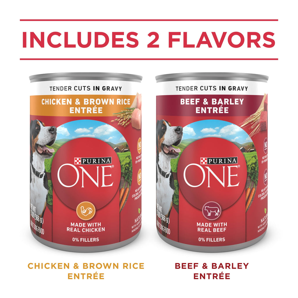 Purina ONE Tender Cuts in Gravy Chicken and Brown Rice and Beef and Barley Entrees High Protein Wet Dog Food Variety Pack - 13 oz Cans