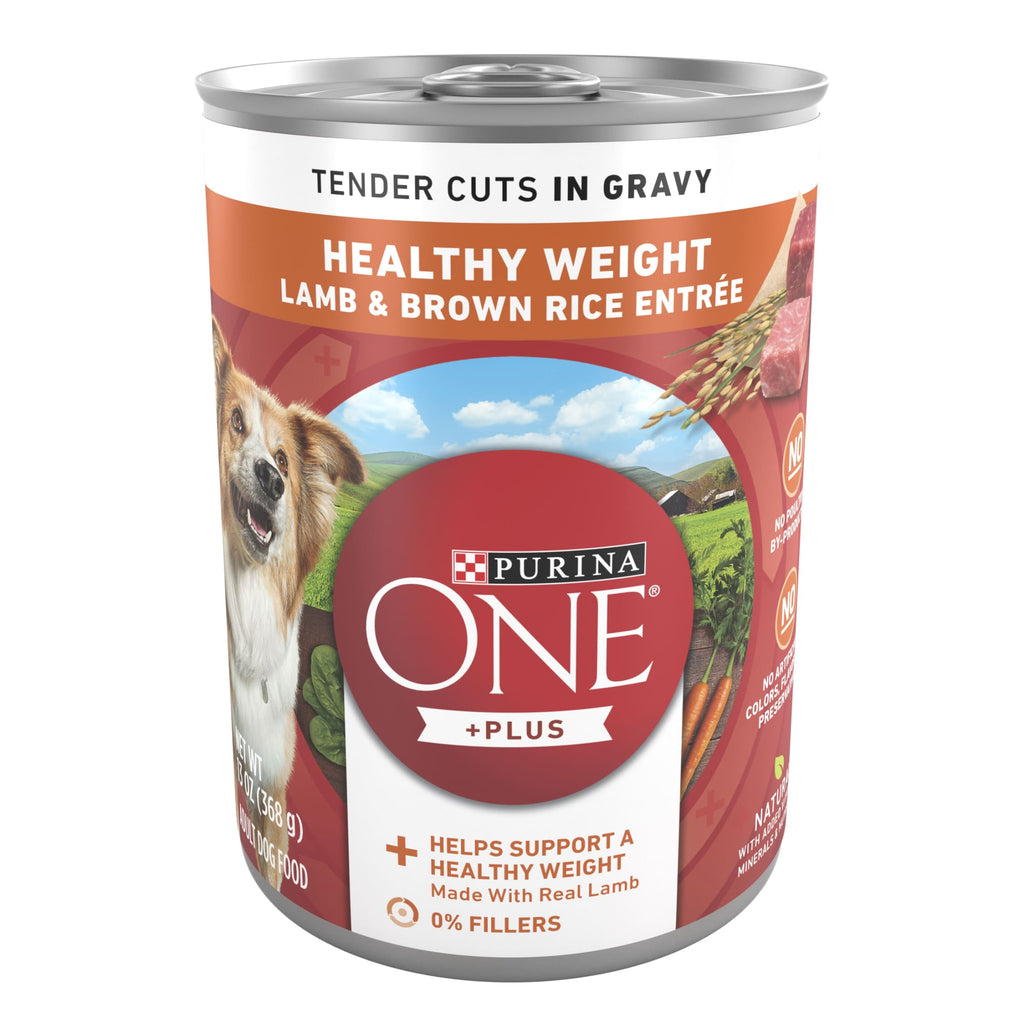 Purina ONE PLUS Natural Wet Dog Food - High Protein Soft Lamb & Brown Rice, 13 oz Can