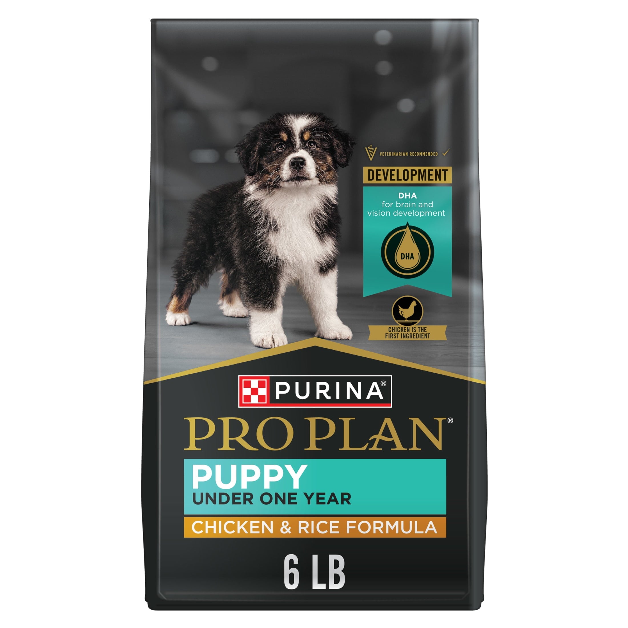 Purina Pro Plan High Protein Dry Puppy Food - Chicken and Rice Formula, 6 lb. Bag