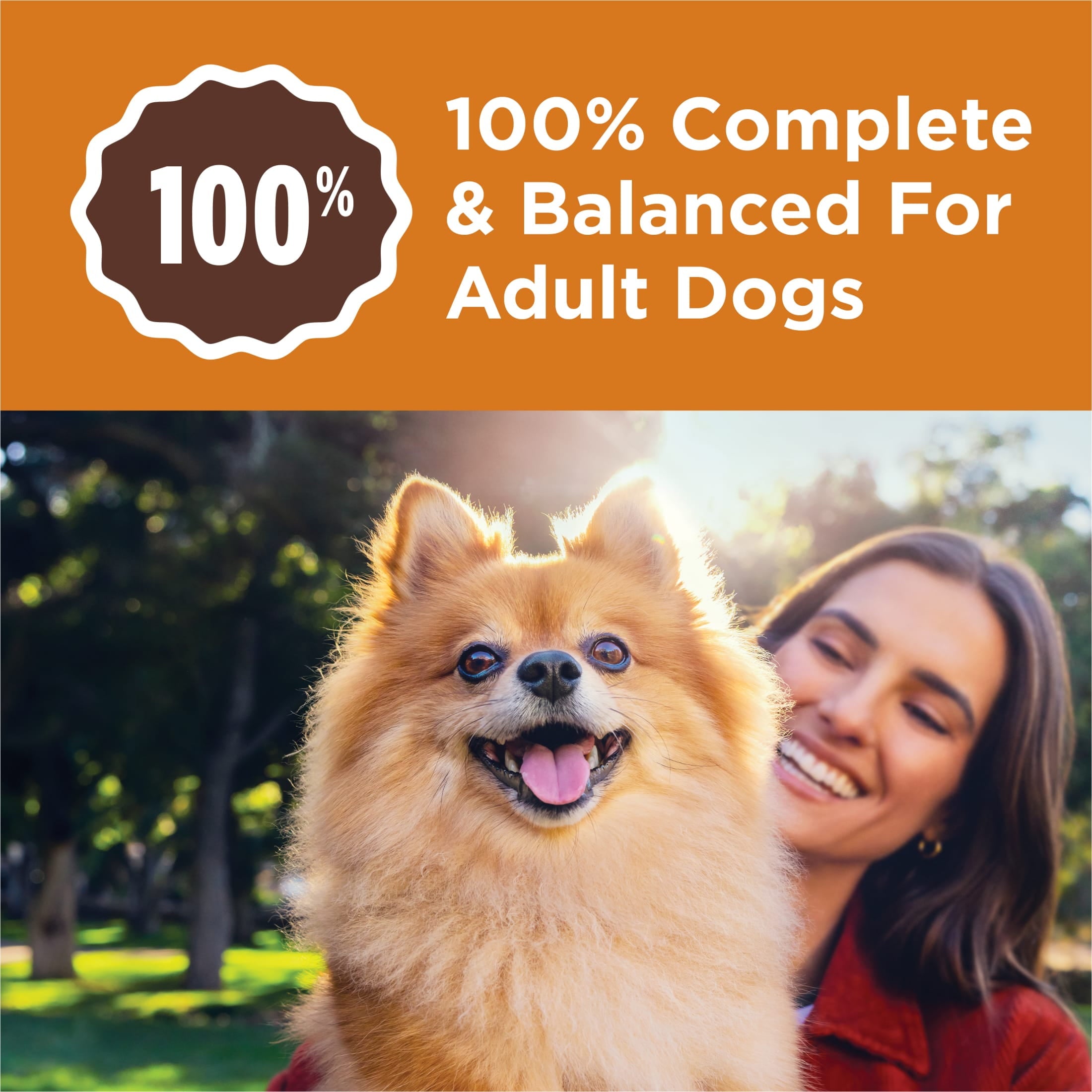 Purina Dog Chow Little Bites With Real Chicken And Beef Dry Dog Food Small Breed Recipe - 3.2 lb.
