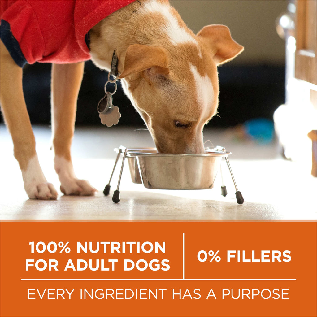 Purina One +Plus Dry Dog Food High Protein Healthy Weight - Real Turkey 40 lb Bag