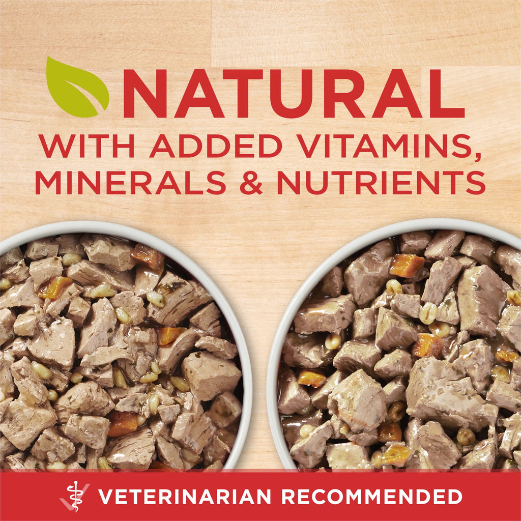 Purina ONE Tender Cuts in Gravy Chicken and Brown Rice and Beef and Barley Entrees High Protein Wet Dog Food Variety Pack - 13 oz Cans