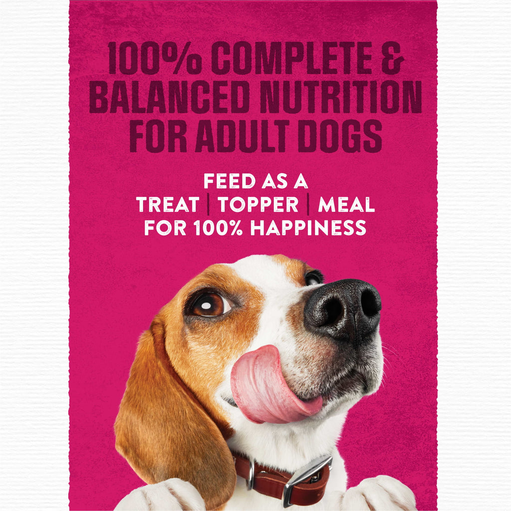Purina Moist & Meaty Dry Dog Food - High Protein Steak Flavor with Real Beef, 6 oz Pouches (36 Pack)