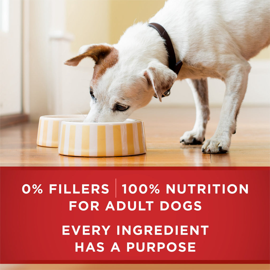 Purina ONE Tender Cuts in Gravy Chicken and Brown Rice and Beef and Barley Entrees High Protein Wet Dog Food Variety Pack - 13 oz Cans