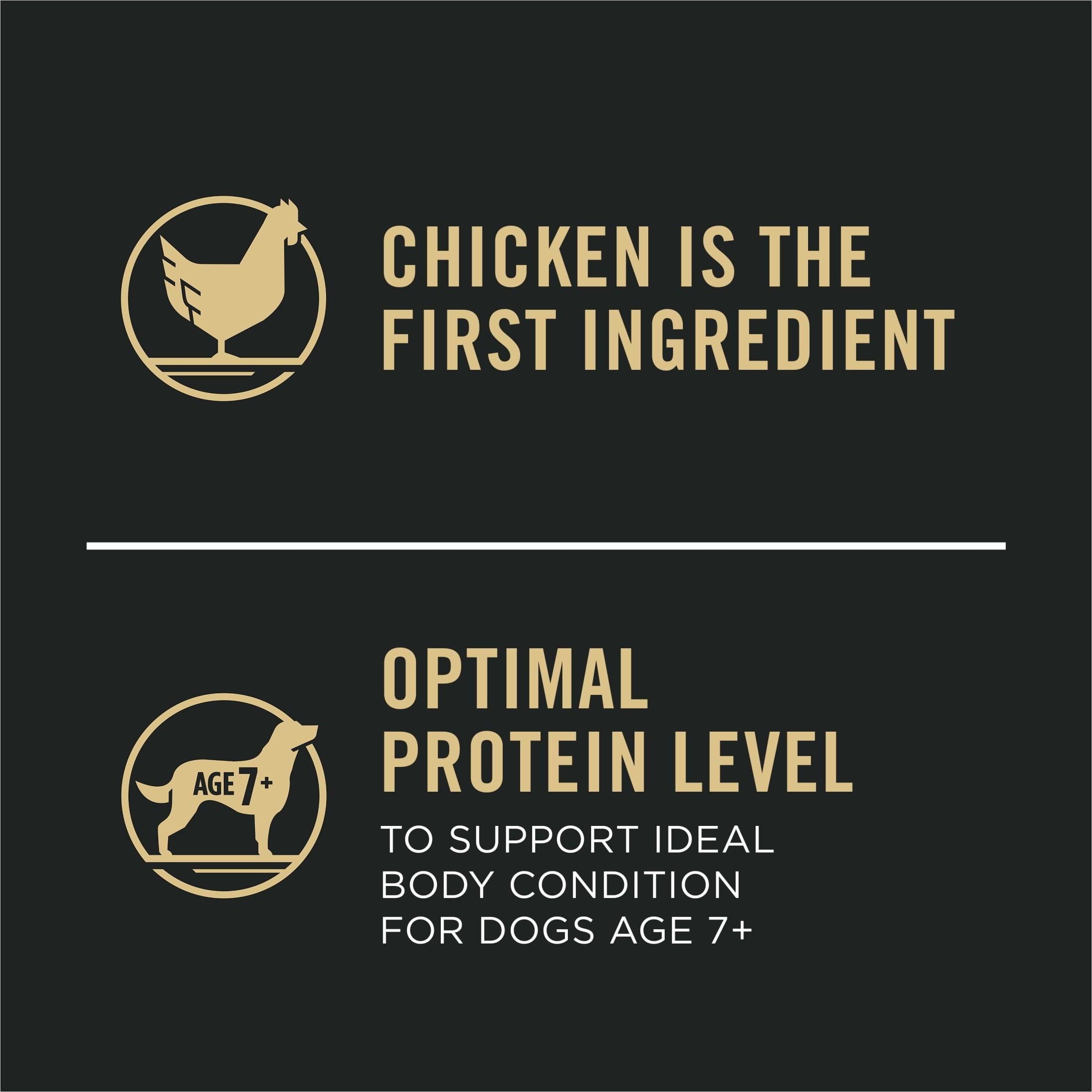 Purina Pro Plan Completed Essentials for Adult Dogs Chicken Rice - 34 lb Bag