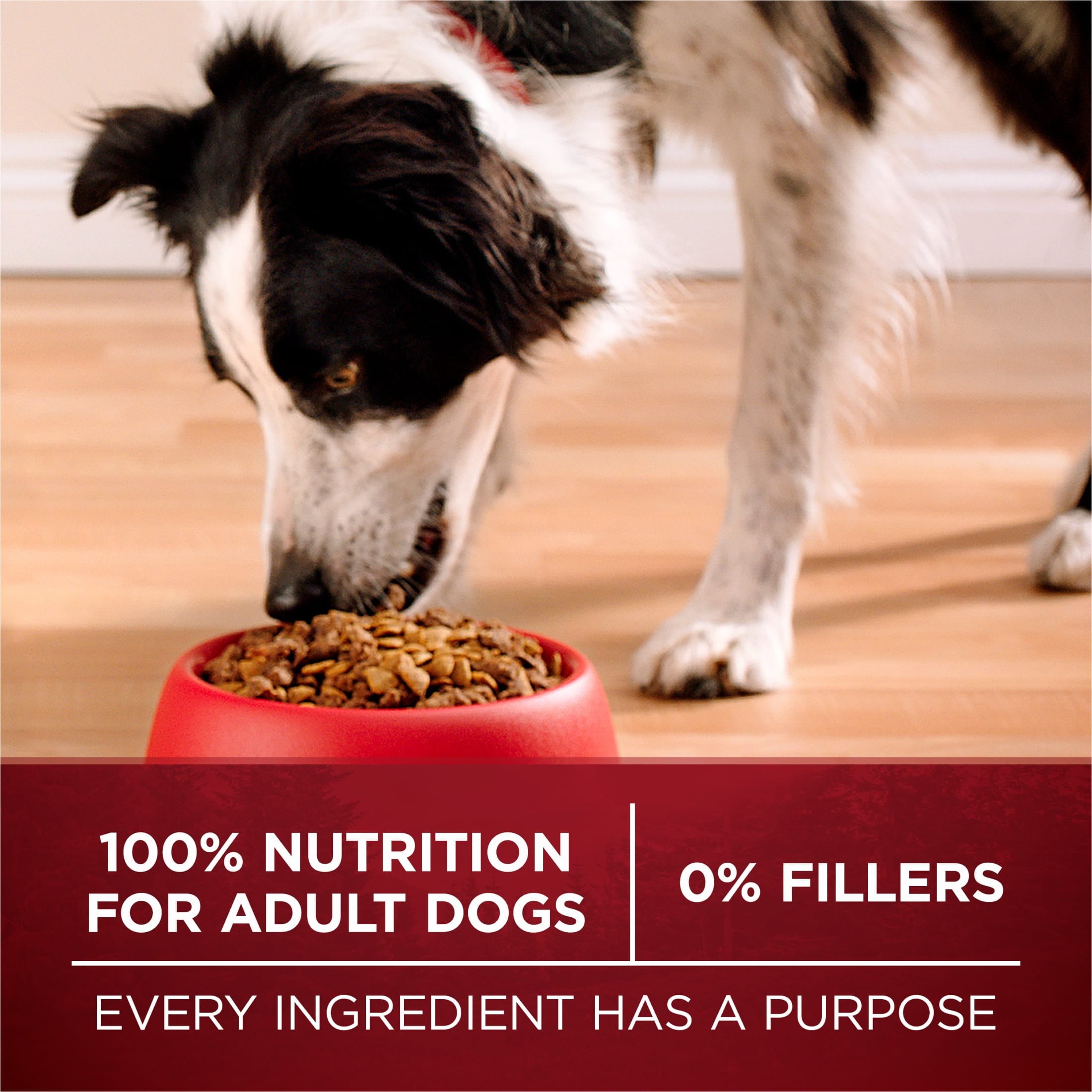 Purina One True Instinct Lean Muscle Support With Real Beef Natural With Added Vitamins - Minerals and Nutrients High Protein Dog Food, 15 lb Bag