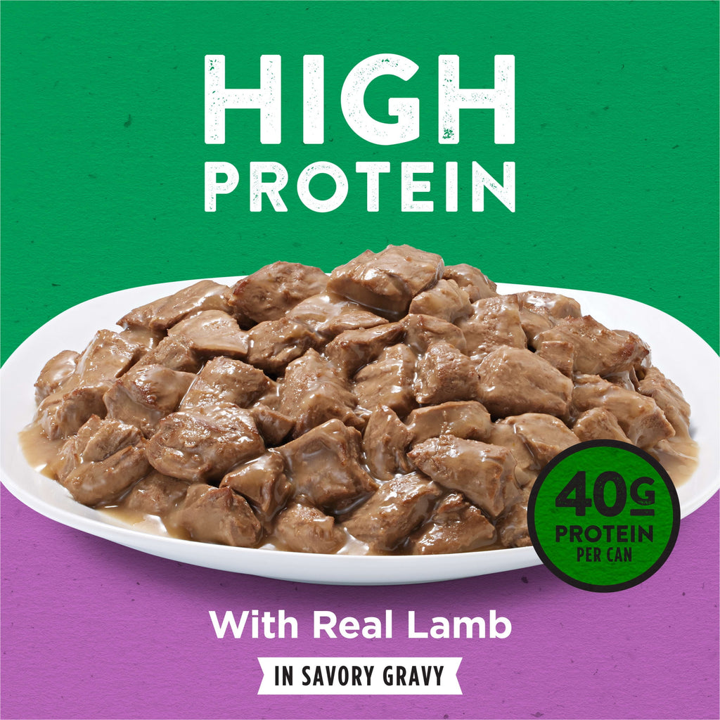 Purina Dog Chow Wet Dog Food - High Protein Real Lamb in Gravy, 13 oz Can
