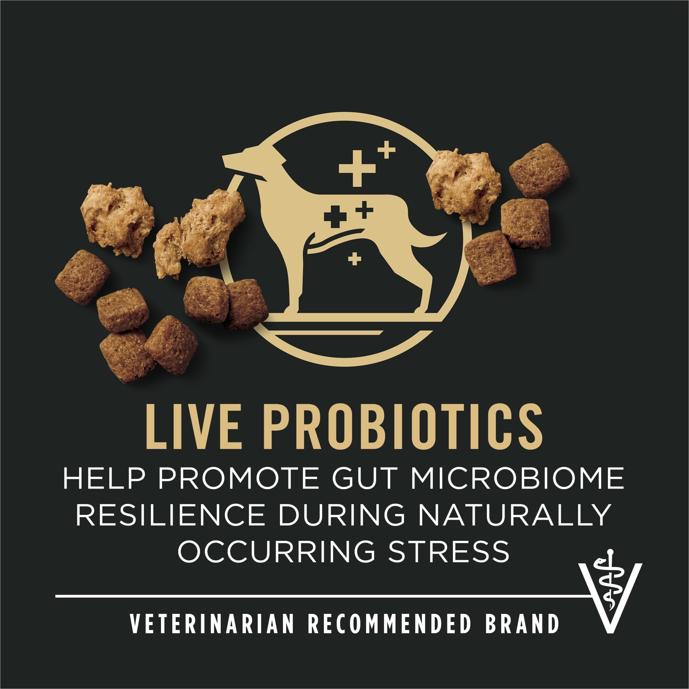 Purina Pro Plan Senior Dog Food With Probiotics for Dogs - Shredded Blend Chicken & Rice Formula, 6 lb. Bag