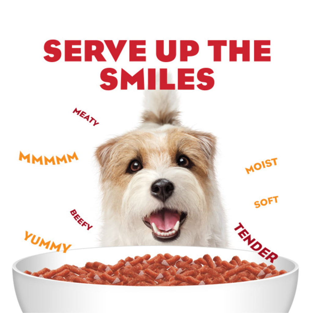 Purina Moist & Meaty Dry Dog Food - High Protein Steak Flavor with Real Beef, 12 Count