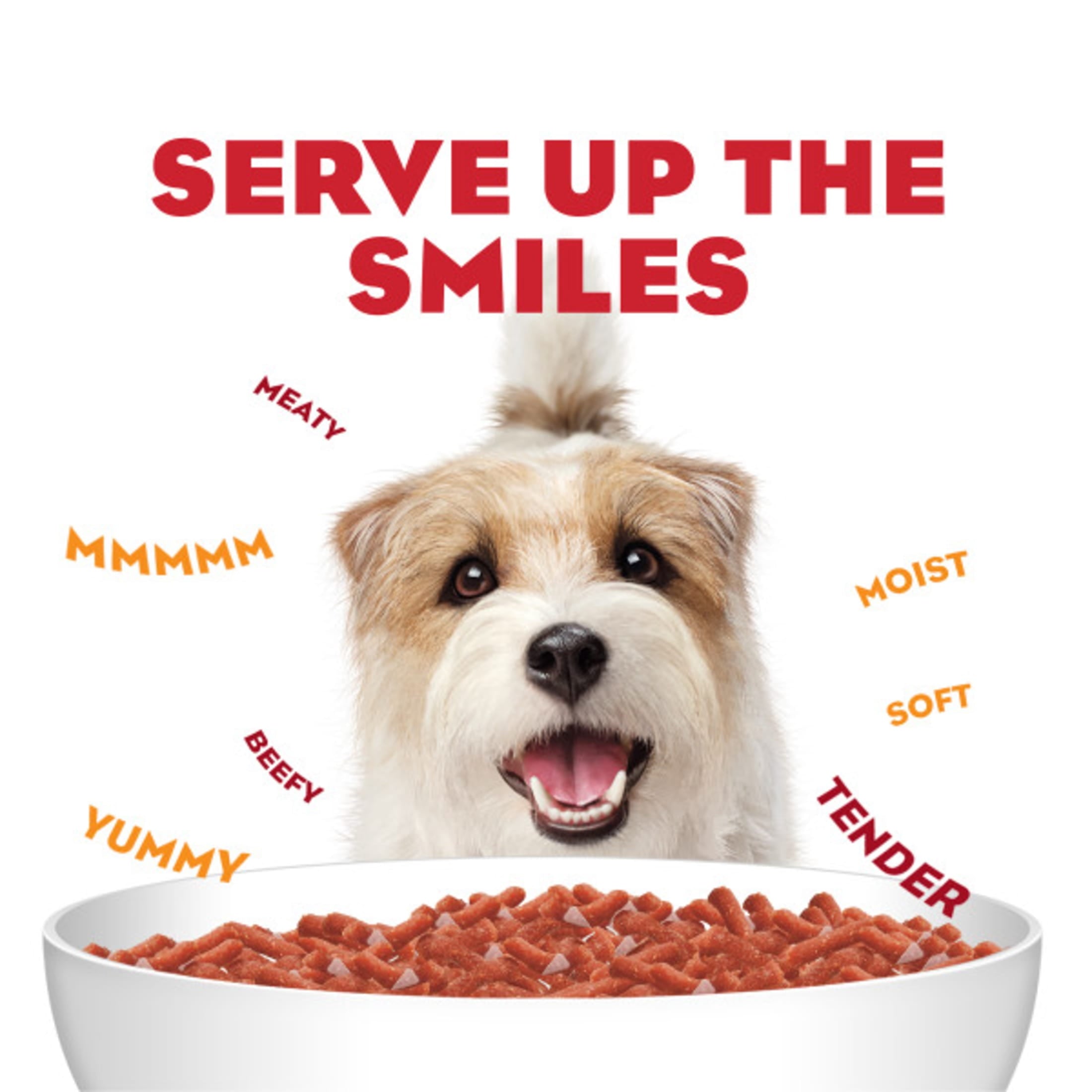Purina Moist & Meaty Dry Dog Food - High Protein Steak Flavor with Real Beef, 12 Count