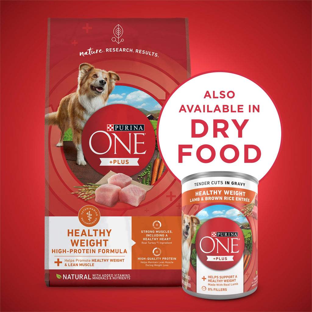 Purina ONE PLUS Natural Wet Dog Food - High Protein Soft Lamb & Brown Rice, 13 oz Can