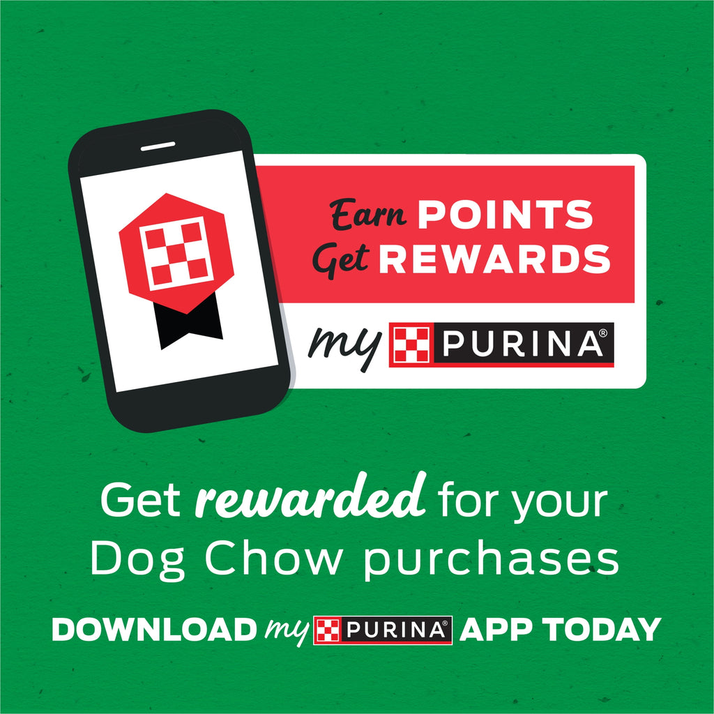 Purina Dog Chow High Protein Dog Food Wet Recipe With Real Chicken or Real Beef In Savory Gravy Variety Pack - 13 oz.