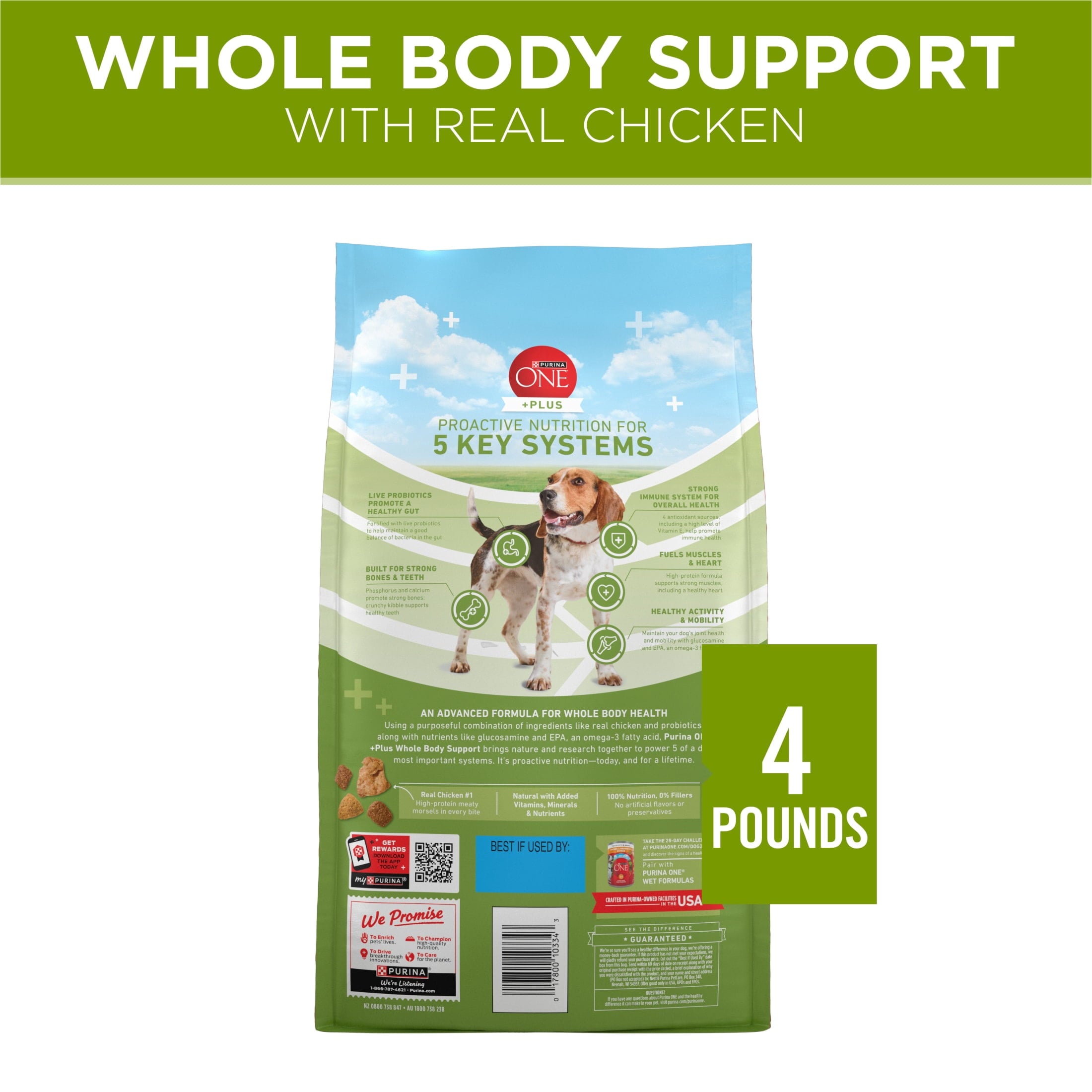 Purina ONE Plus Whole Body Support Chicken Flavor Dry Dog Food - 4 lb Bag