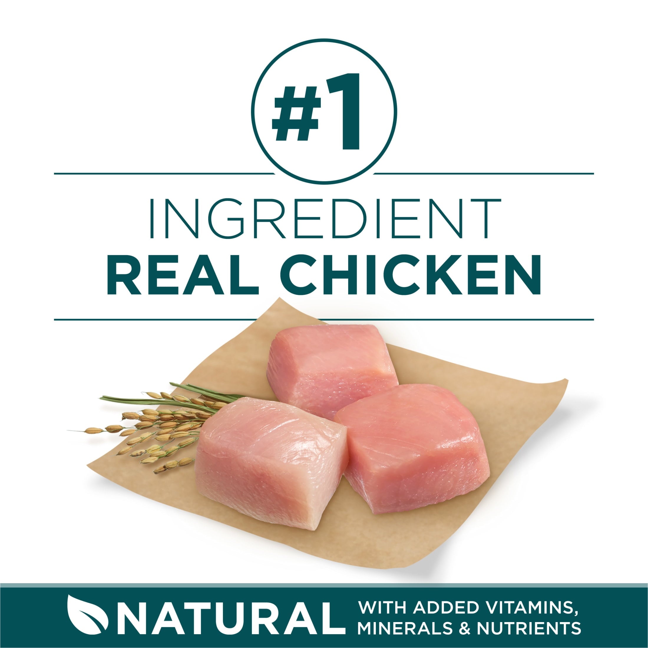 Purina One Plus Puppy Dry Dog Food for Large Dogs High Protein Growth Support - Real Chicken, 31.1 lb Bag